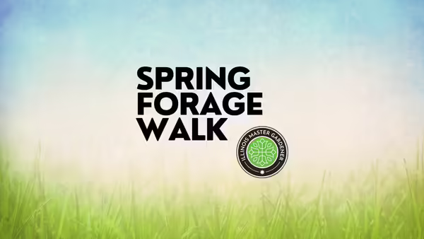 Spring Forage Walk