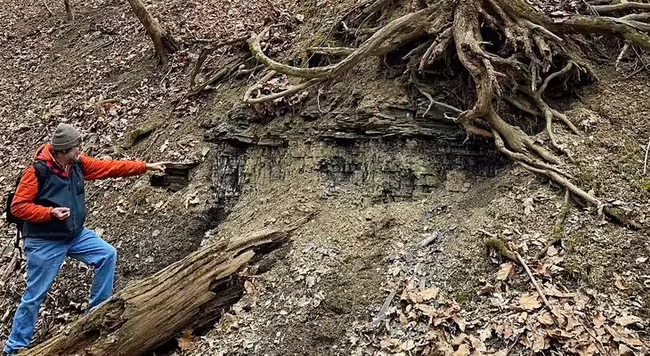 Master Volunteer points to a tree in the woods