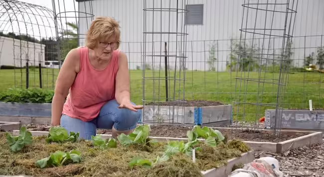Extension Master Gardener working in a community garden